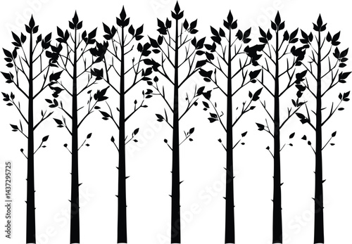 Beautiful Aspen Tree Set Isolated Silhouette Vector Illustration Natural Forest Elements Collection