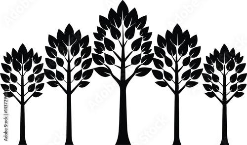 Beautiful Beech Tree Set Isolated Silhouette Vector Illustration Natural Forest Elements Collection