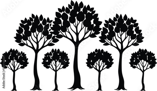 Beautiful Beech Tree Set Isolated Silhouette Vector Illustration Natural Forest Elements Collection