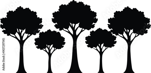 Beautiful Beech Tree Set Isolated Silhouette Vector Illustration Natural Forest Elements Collection