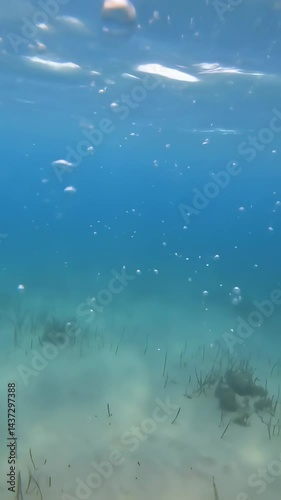 Vertical video Underwater slow motion bubbles moving to surface