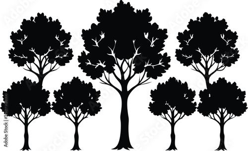 Beautiful Beech Tree Set Isolated Silhouette Vector Illustration Natural Forest Elements Collection