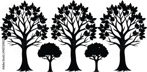 Beautiful Beech Tree Set Isolated Silhouette Vector Illustration Natural Forest Elements Collection