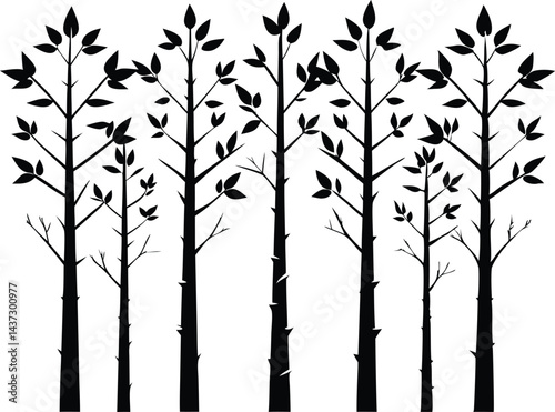 Beautiful Birch Trees Isolated Silhouette Vector Art Elegant Forest Elements and Nature Design