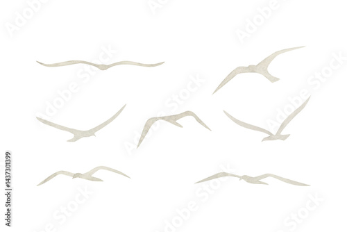 Flying seagulls flock silhouette watercolor illustration set isolated on white. Simple grey clip art for seascape or ocean designs with migrating birds