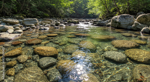 Wallpaper Mural Crystal Clear River Flowing Through Smooth Stones in Lush Forest Torontodigital.ca