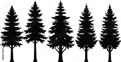 Beautiful Cedar Trees Isolated Silhouette Vector Art Natural Forest Landscape Elements Design