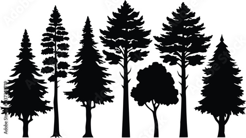 Beautiful Cedar Trees Isolated Silhouette Vector Art Natural Forest Landscape Elements Design