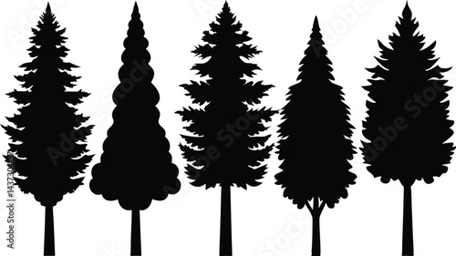 Beautiful Cedar Trees Isolated Silhouette Vector Art Natural Forest Landscape Elements Design