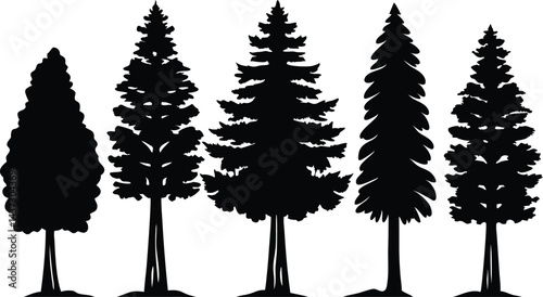 Beautiful Cedar Trees Isolated Silhouette Vector Art Natural Forest Landscape Elements Design