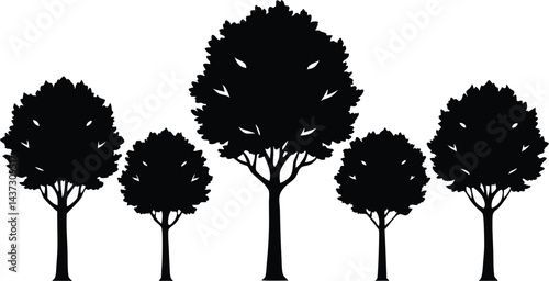 Beautiful Elm Trees Isolated Silhouette Vector Art Elegant Forest Landscape Elements Design