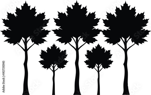 Beautiful Maple Trees Isolated Silhouette Vector Art Natural Forest Elements and Landscape Design