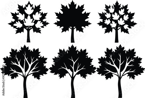 Beautiful Maple Trees Isolated Silhouette Vector Art Natural Forest Elements and Landscape Design