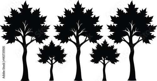 Beautiful Maple Trees Isolated Silhouette Vector Art Natural Forest Elements and Landscape Design