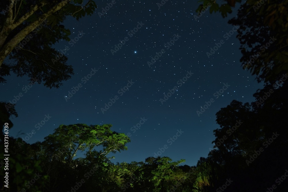 Naklejka premium Starry night sky over ancient Tikal ruins and jungle canopy