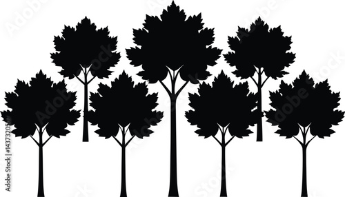 Beautiful Sycamore Trees Isolated Silhouette Vector Art Elegant Forest Landscape Design Elements