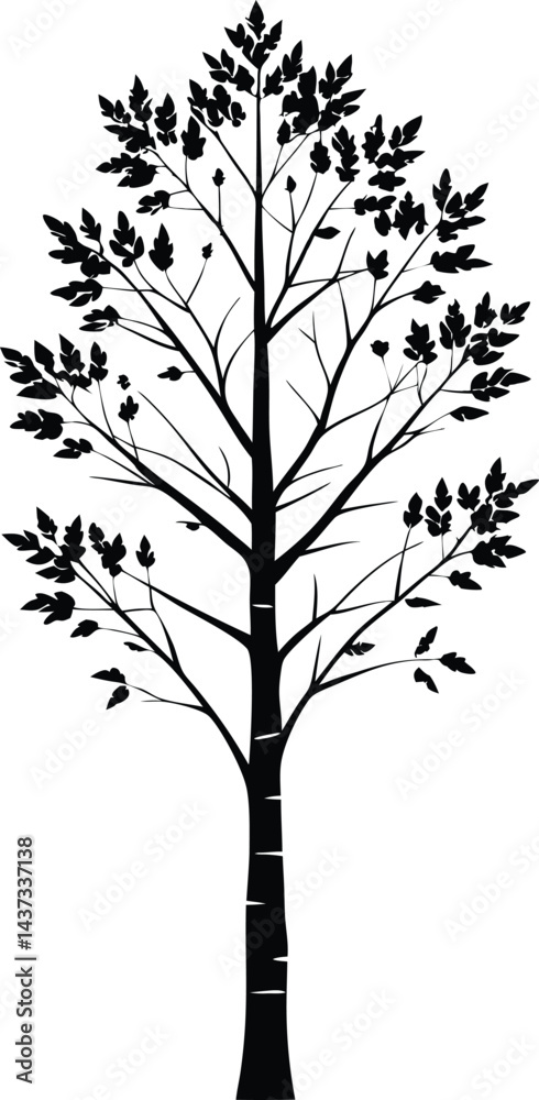 Obraz premium Birch Tree Isolated Silhouette Vector Art Elegant Forest Element with Natural Landscape Design
