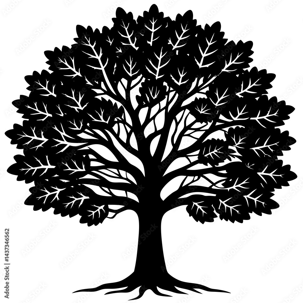 Obraz premium White Oak