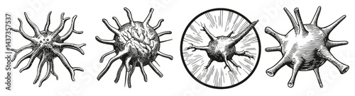 Intricate Illustrations of Various Microorganisms with Textures and Forms, Logo Design, Hand drawing Engraving, Vector Illustration Isolated Object