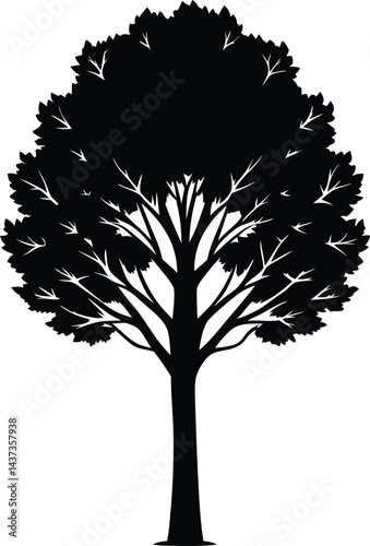 Poplar Tree Isolated Silhouette Vector Art Elegant Forest Element with Natural Landscape Design