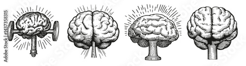 Creative Illustrations of Brain Representations and Symbolism in Art, Logo Design, Hand drawing Engraving, Vector Illustration Isolated Object