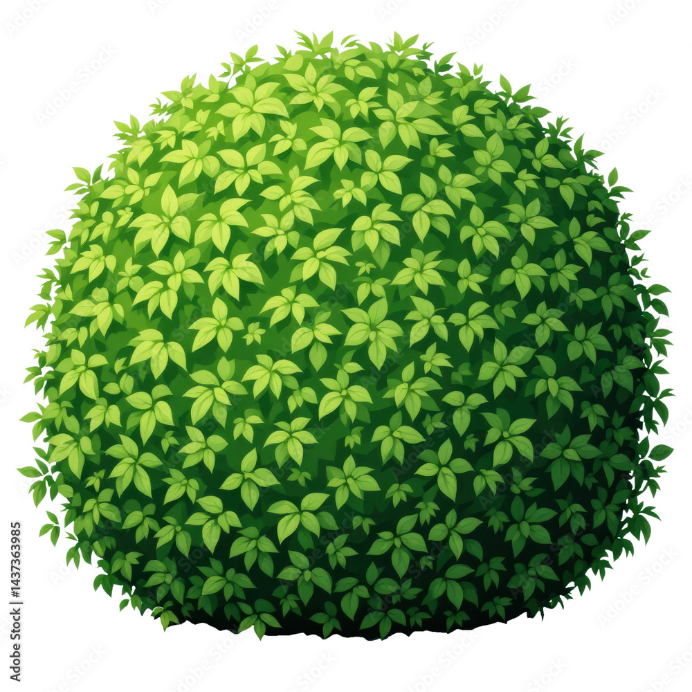 Round green bush, lush foliage, vibrant leaves, garden plant, natural outdoor shrub