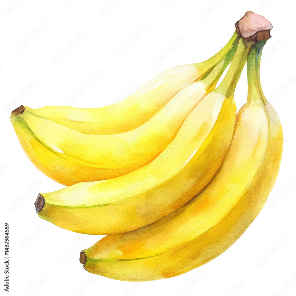 Watercolor banana yellow fruit tropical fresh ripe isolated healthy snack artistic style