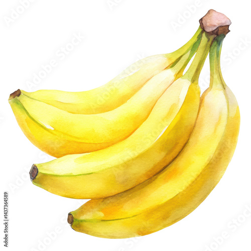 Obraz na płótnie Watercolor banana yellow fruit tropical fresh ripe isolated healthy snack artistic style w salonie
