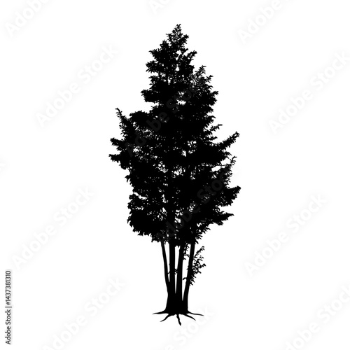 Tree silhouette. Vector illustration.