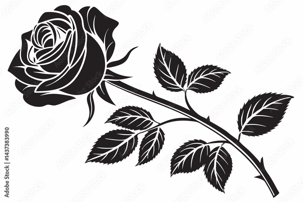 black and white roses black and white roses