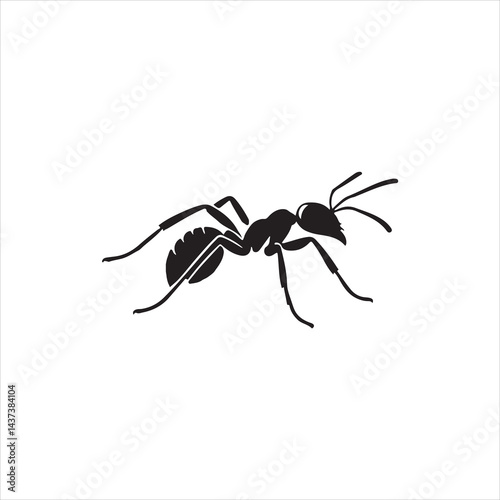 ant silhouete vector with white background
