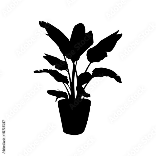 Houseplant silhouette. Potted plant isolated on white. tropical plants. trendy home decor with indoor plants, planters, tropical leaves.