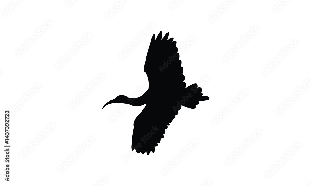 Flying African sacred ibis bird Silhouette Design  And Vector Illustration. 
