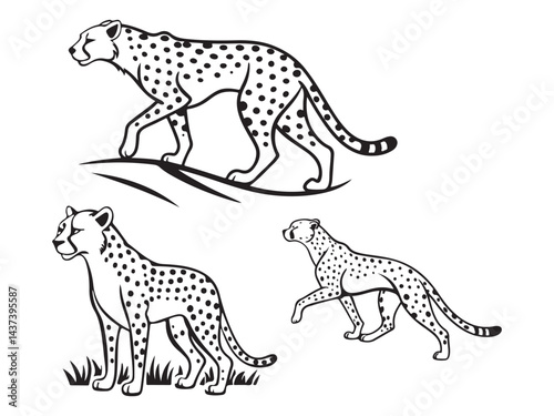 Cheetah Icons set vector illustration