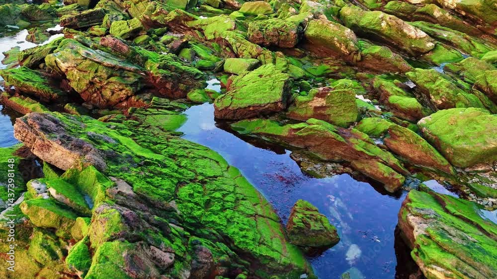Roches de mousse verte et eau turquoise - Contrastes minéraux en gros plan (16:9) Palette minérale - Côte sauvage en gros plan Hendaye Roches de mousse verte et eau turquoise - Contrastes minéraux en gros plan (16:9) Palette minérale - Côte sauvage en gros plan Hendaye