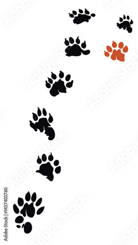 Animal Paw Prints Vector Illustration Suggesting Tracking and Movement