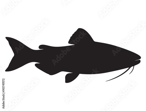CATFISH SILHOUETTE WHITE BACKGROUND