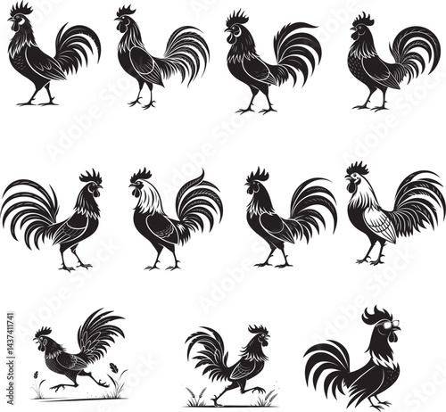 rooster and hen