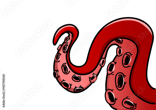 illustration of an octopus tentacle