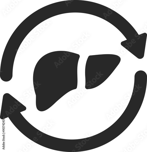 Liver donation and transplant with recycle arrows, solid icon vector.