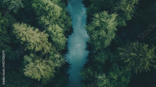 Aerial view of a serene forest waterway
