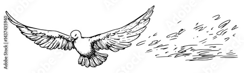 flying dove with feathers sketch illustration