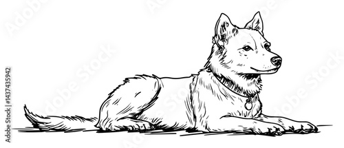 lying dog sketch illustration