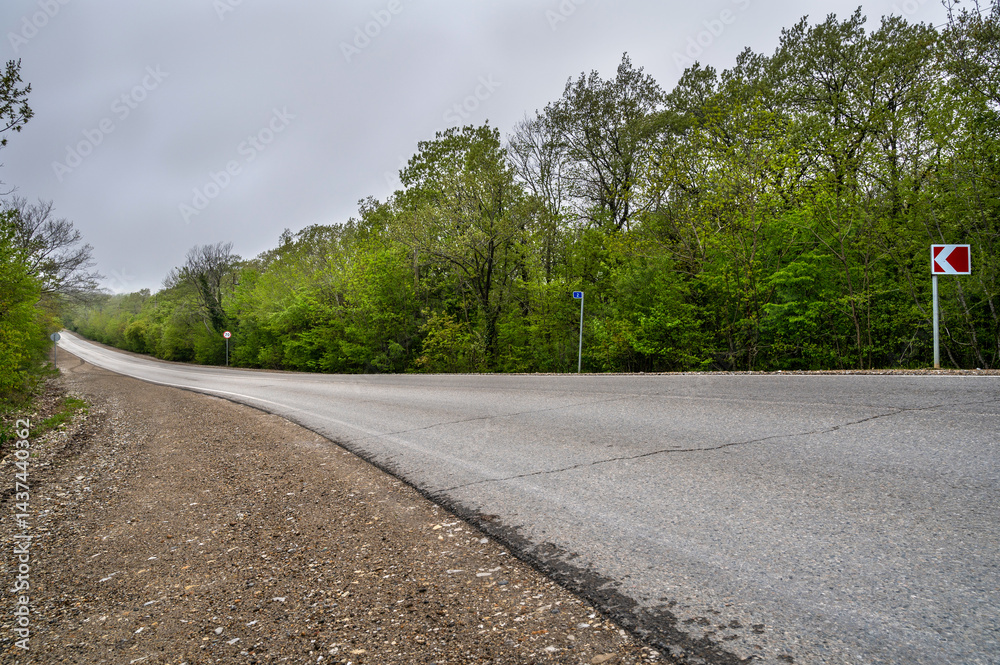 Road sky landscape in forest. Nature tree. Rural path summer.