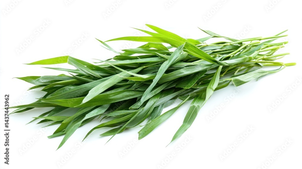 Fototapeta premium Fresh bunch of vibrant green grass-like leaves