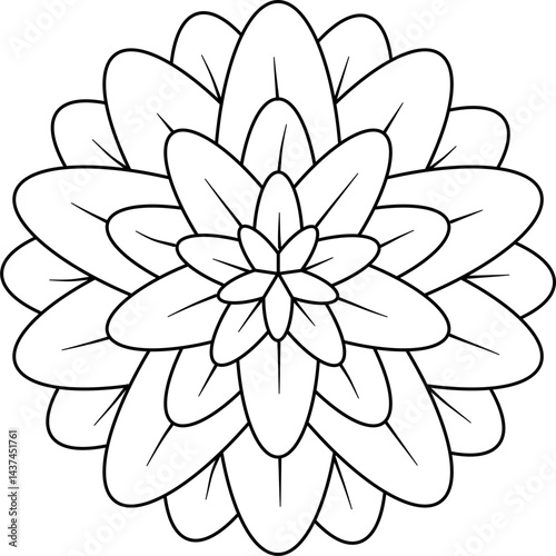 Camallia flower outline vector
