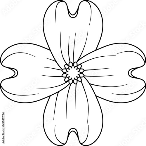 Dogwood flower outline vector