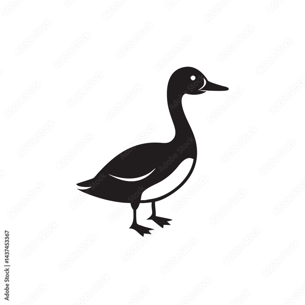 Black duck silhouette Black duck silhouette