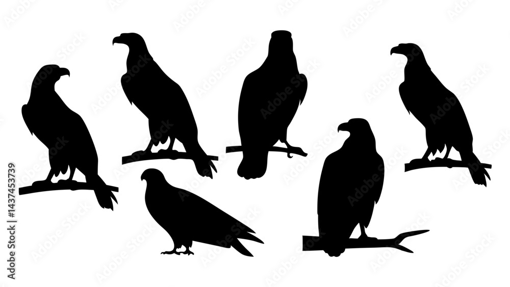 Fototapeta premium set of eagle silhouette vector on tranparent background