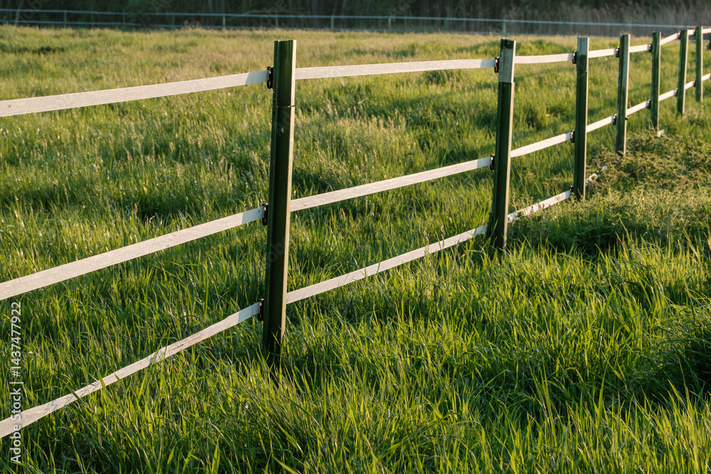 Fototapeta premium Electric fence protecting lush green meadow in farmland